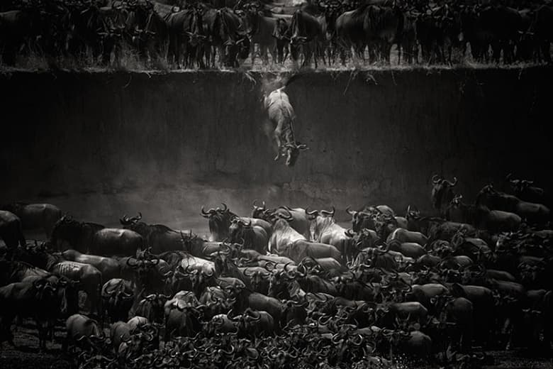 Winners of the 2014 National Geographic Photo Contest