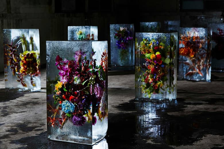 Azuma Makoto Sets Plants in Inorganic Space in "Iced Flowers"