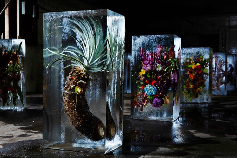 Azuma Makoto Sets Plants in Inorganic Space in "Iced Flowers"
