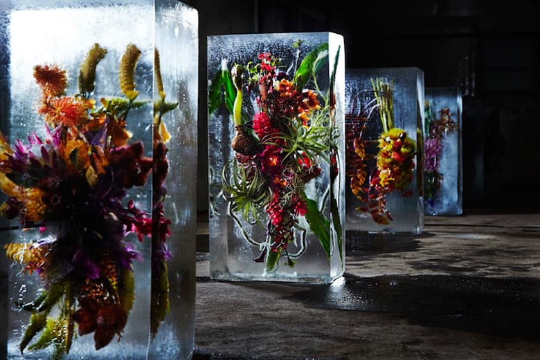 Azuma Makoto Sets Plants in Inorganic Space in "Iced Flowers"