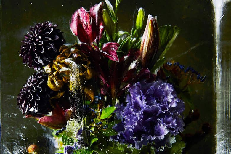 Azuma Makoto Sets Plants in Inorganic Space in "Iced Flowers"