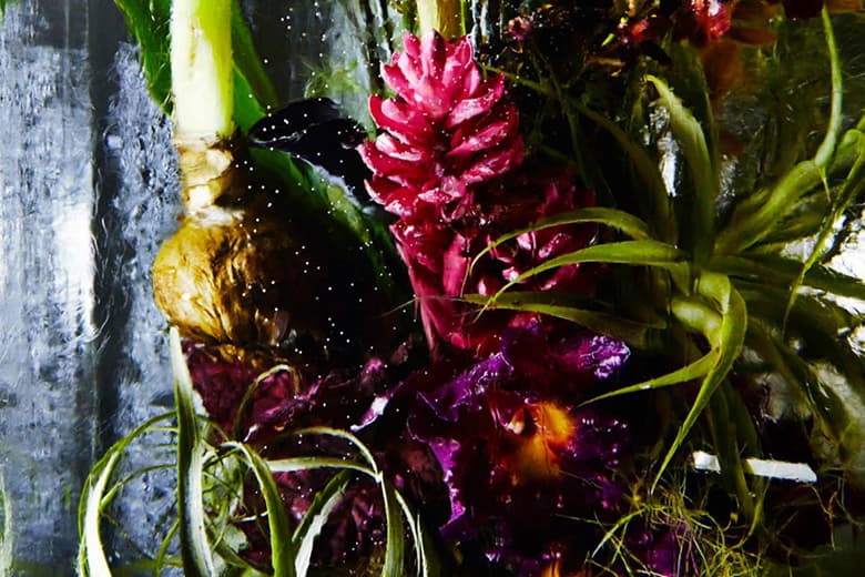 Azuma Makoto Sets Plants in Inorganic Space in "Iced Flowers"