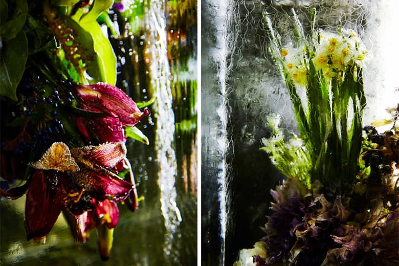 Azuma Makoto Sets Plants in Inorganic Space in "Iced Flowers"