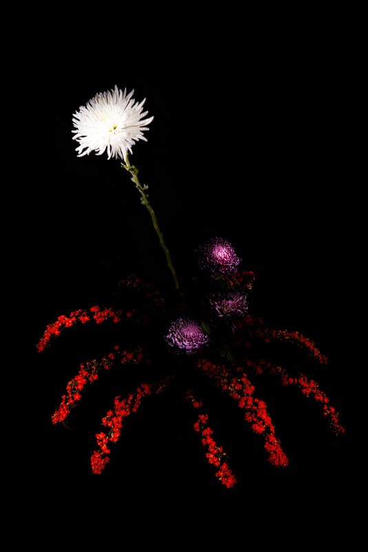 Flowerwork by Sarah Illenberger Combines Flowers & Fireworks