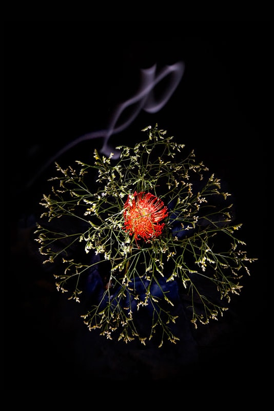 Flowerwork by Sarah Illenberger Combines Flowers & Fireworks