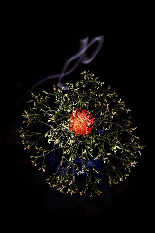 Flowerwork by Sarah Illenberger Combines Flowers & Fireworks