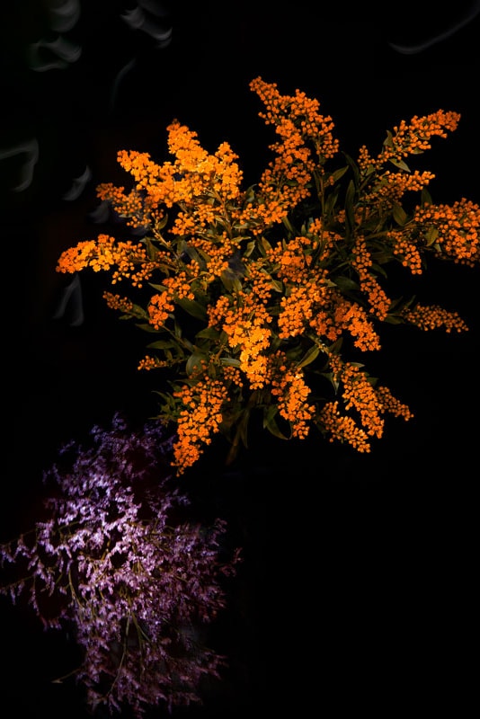 Flowerwork by Sarah Illenberger Combines Flowers & Fireworks