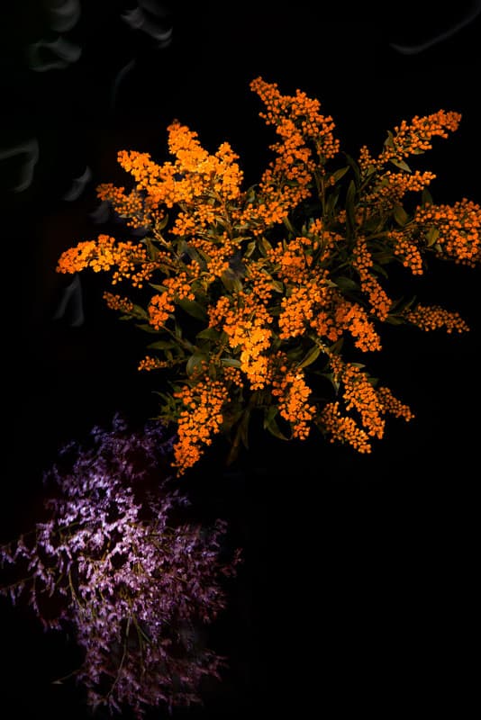 Flowerwork by Sarah Illenberger Combines Flowers & Fireworks