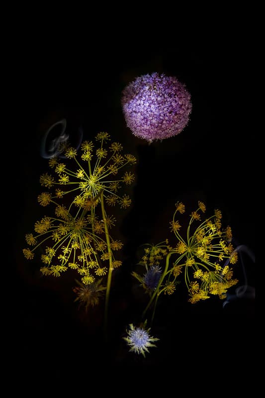 Flowerwork by Sarah Illenberger Combines Flowers & Fireworks