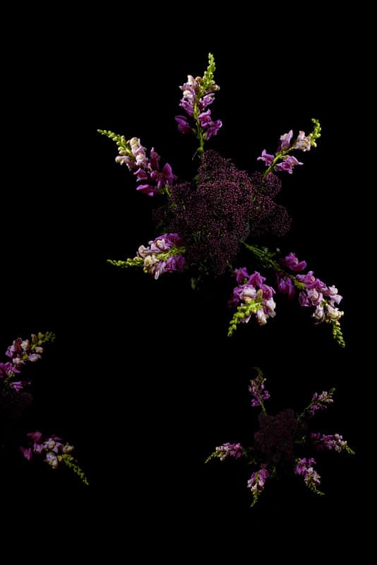 Flowerwork by Sarah Illenberger Combines Flowers & Fireworks