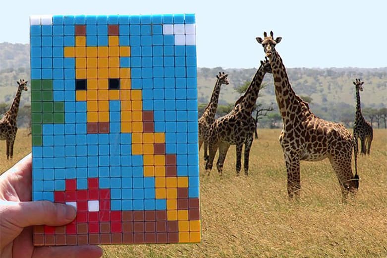 Invader Invades the Serengeti with Tile Art