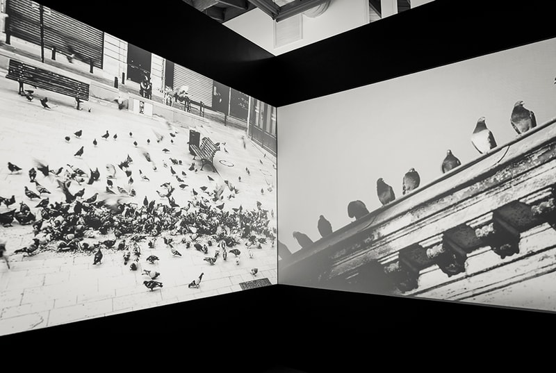 RERO "Gated Community" Exhibition @ Fabien Castanier Gallery