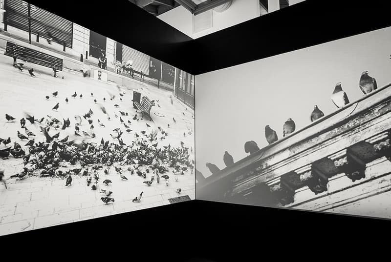 RERO "Gated Community" Exhibition @ Fabien Castanier Gallery
