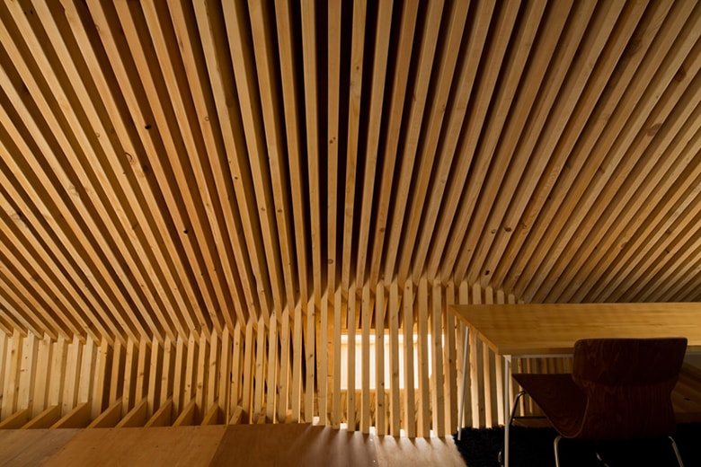 Triangle House by Life Style Koubou
