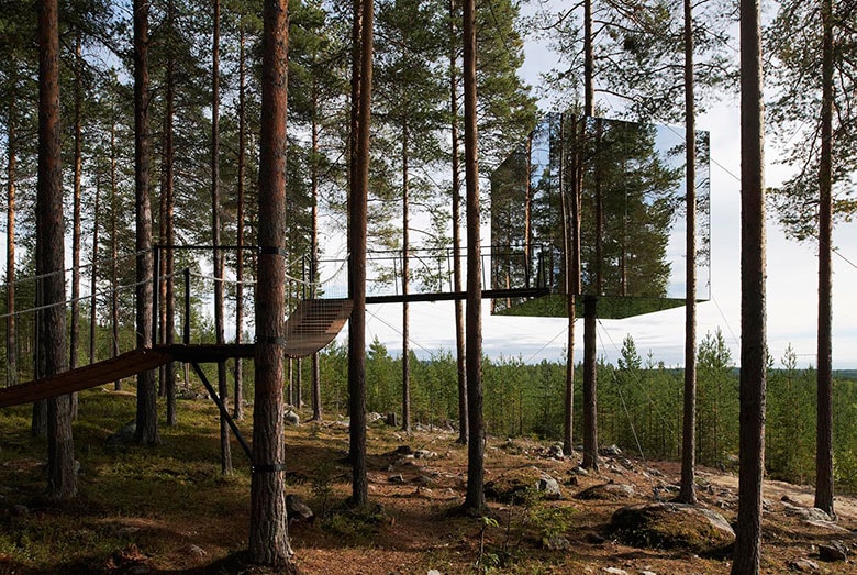 Beautiful Adult Treehouses