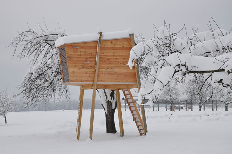 Beautiful Adult Treehouses