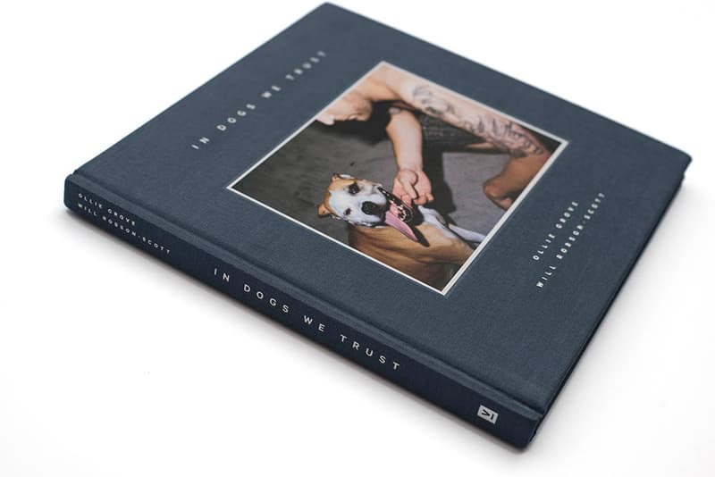 'In Dogs We Trust' the Book - A Survey of Modern Day Dog Ownership