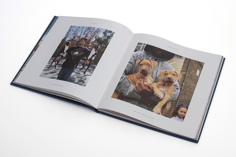 'In Dogs We Trust' the Book - A Survey of Modern Day Dog Ownership