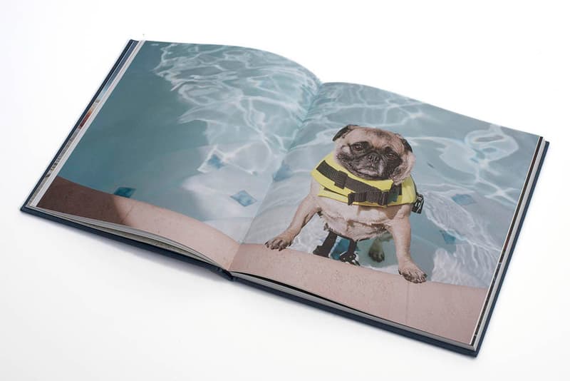 'In Dogs We Trust' the Book - A Survey of Modern Day Dog Ownership