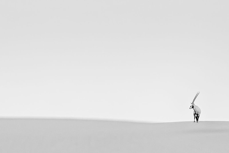 Outdoor Photographer of the Year Winners 2014