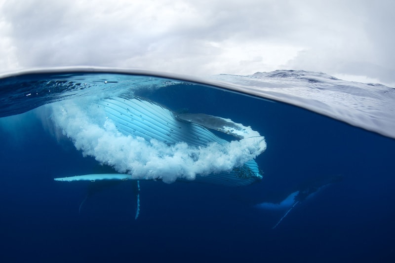 Outdoor Photographer of the Year Winners 2014