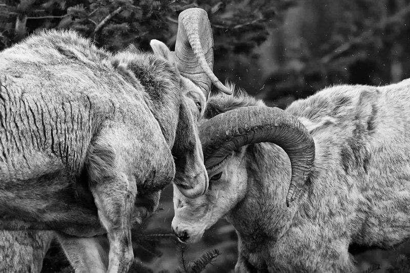 Outdoor Photographer of the Year Winners 2014