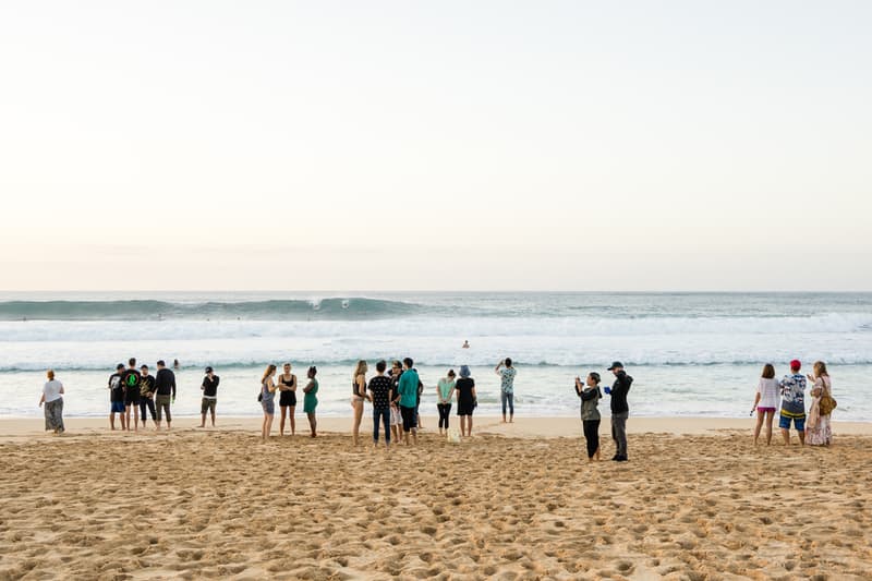 POW! WOW! Hawaii 2015 Recap