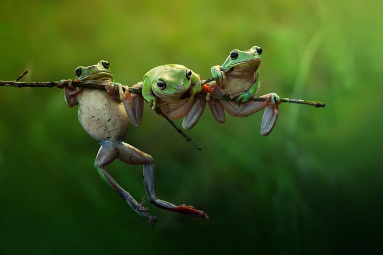Sony World Photography Awards 2015 Shortlist