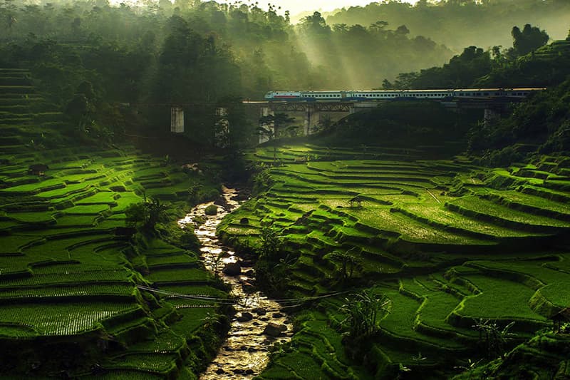 Sony World Photography Awards 2015 Shortlist