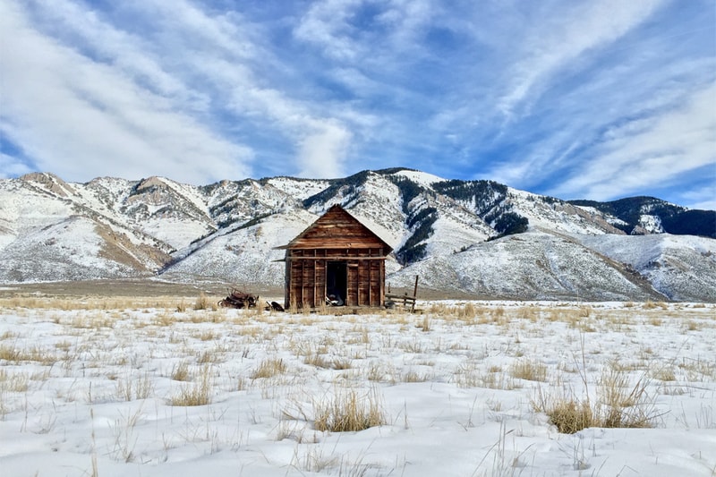 Apple's New Campaign Highlights iOS Camera