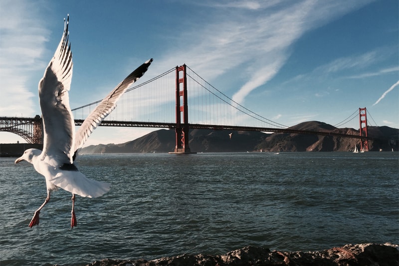 Apple's New Campaign Highlights iOS Camera