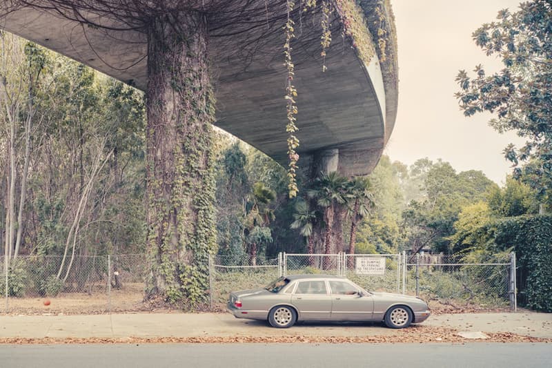 'Cars and Bodies' Series Fits Maximum Occupancy in Cars