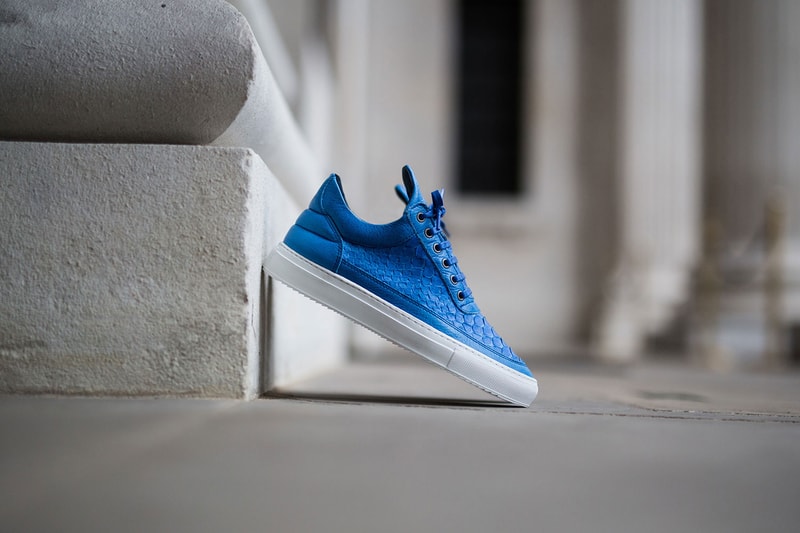 Harvey Nichols x Filling Pieces "Python Exclusives"