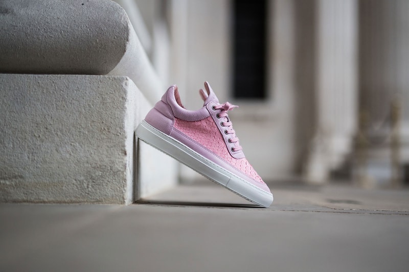 Harvey Nichols x Filling Pieces "Python Exclusives"