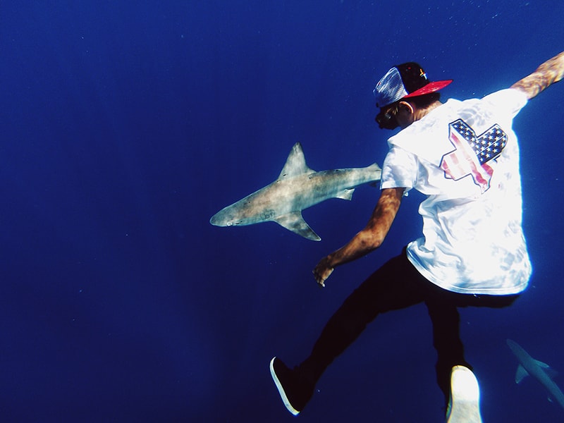 In4mation 2015 Spring Lookbook