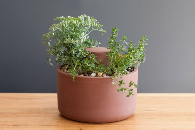 Joey Roth Self-Watering Ceramic Planters