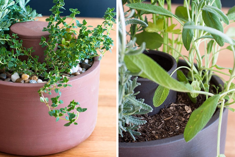 Joey Roth Self-Watering Ceramic Planters