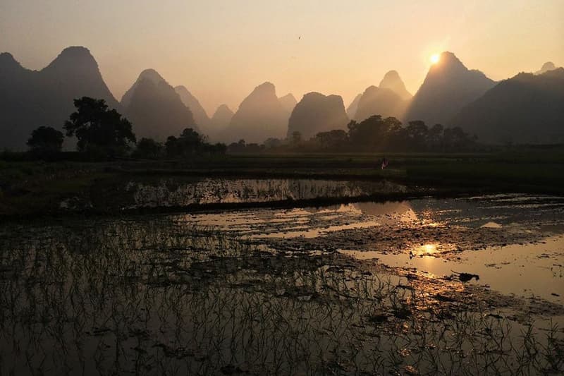 Smithsonian Photo Contest 2015 Finalists