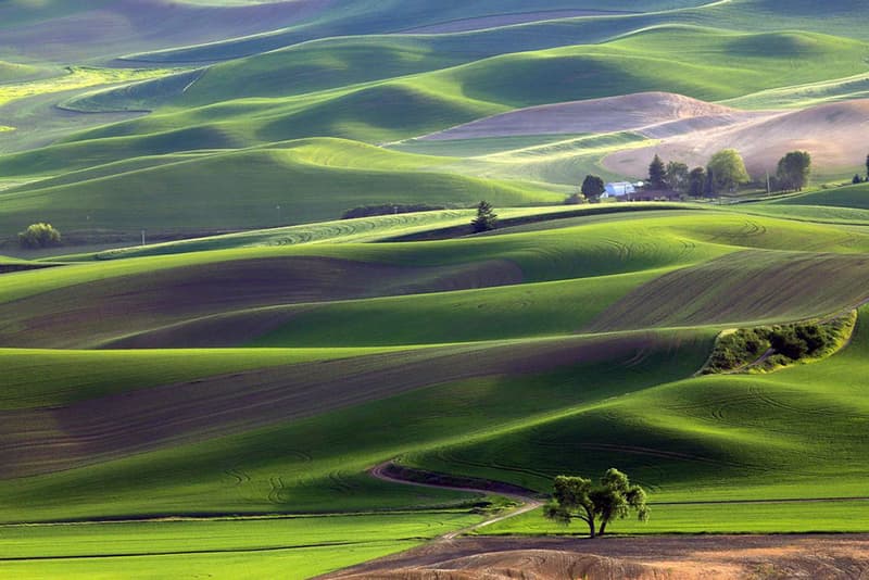 Smithsonian Photo Contest 2015 Finalists