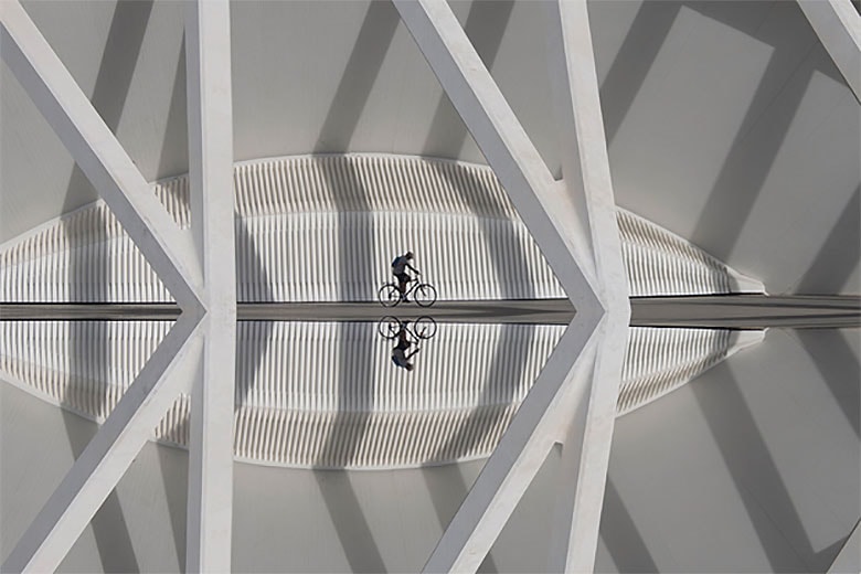 Sony World Photography Awards 2015 Winners