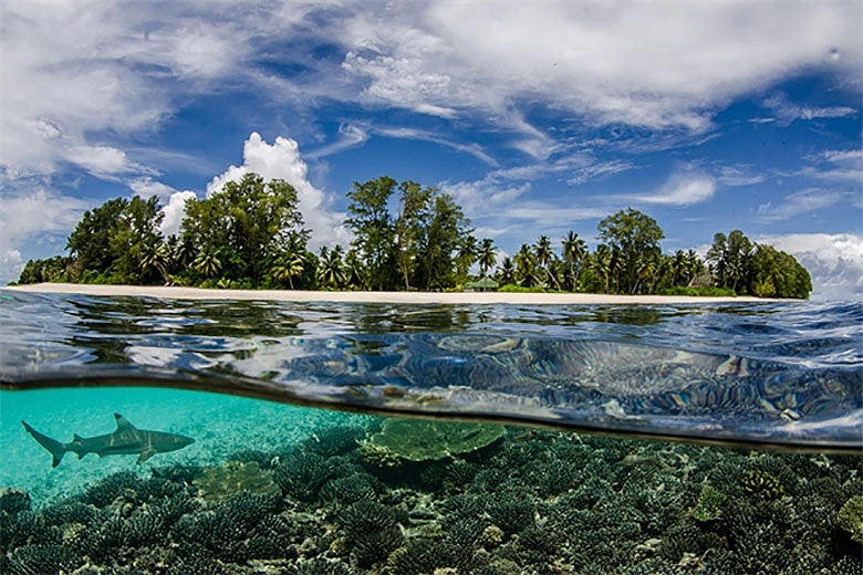 Sony World Photography Awards 2015 Winners