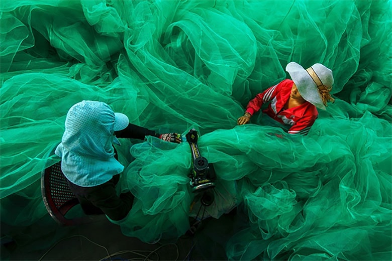Sony World Photography Awards 2015 Winners