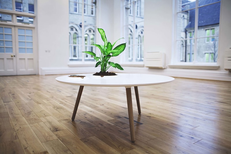 The Luna Coffee Table by Bem Robinson