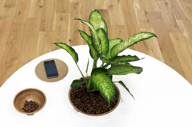 The Luna Coffee Table by Bem Robinson