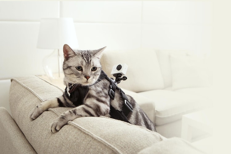 Xiaomi Introduces GoPro-Style Camera, the "Yi Action Camera"