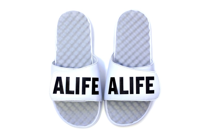 ALIFE 2015 Spring ISlides