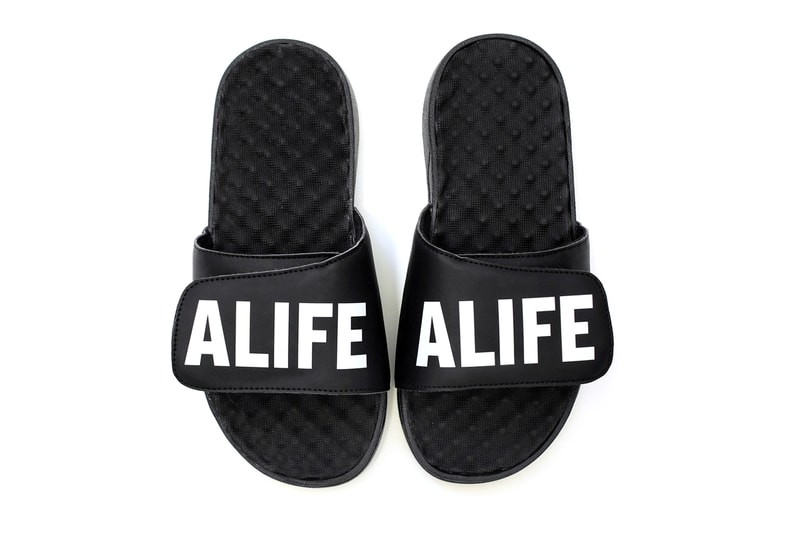ALIFE 2015 Spring ISlides