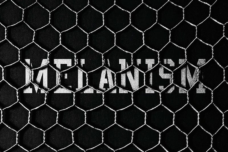 Black Mountaineering by White Mountaineering to Debut with the POOL aoyama's "MELANISM" Installation