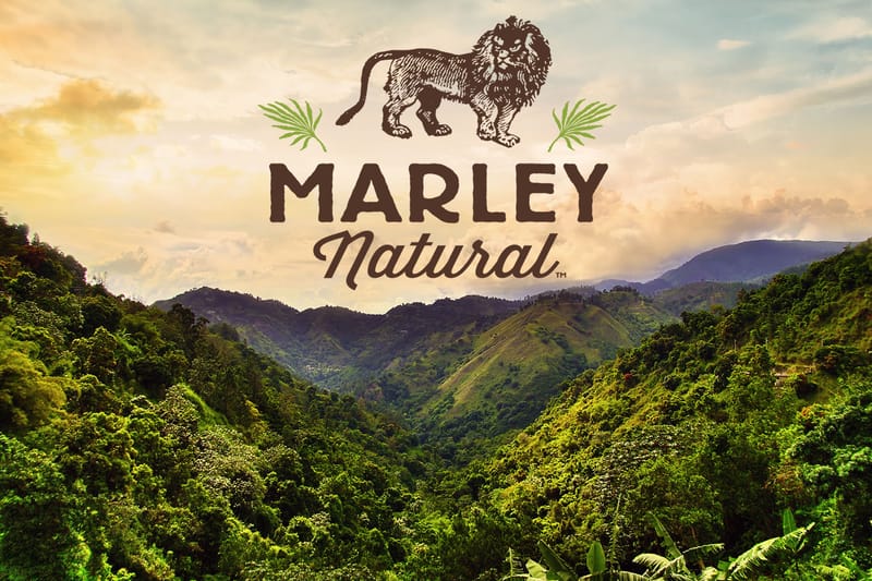 Bob Marley-Branded Marijuana Startup Raises Record $82 Million USD in Funding