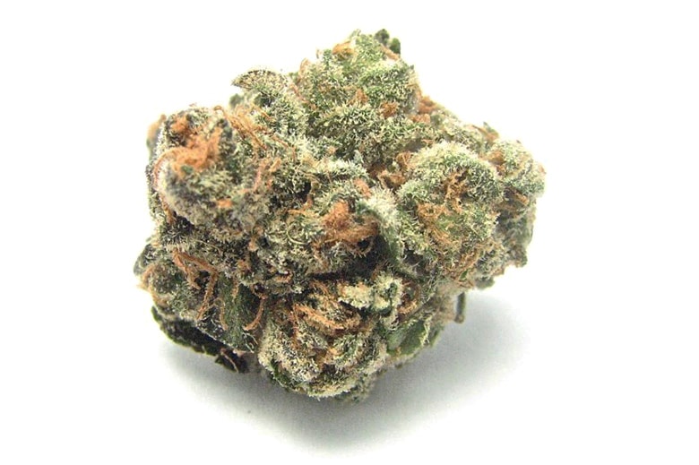 The Daily Cannabis Guide: Finding the Right Strain